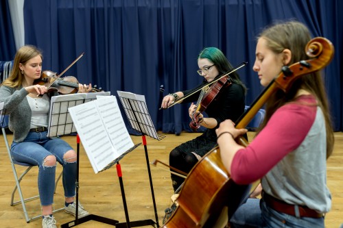 Music Academy (Instrumental) - String Quartet