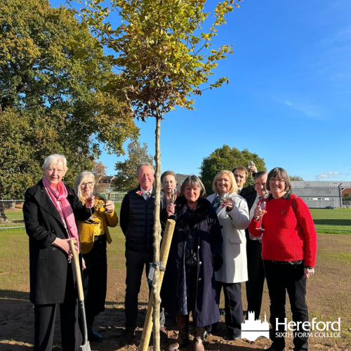 Colleagues posing with newly planted beech trees.