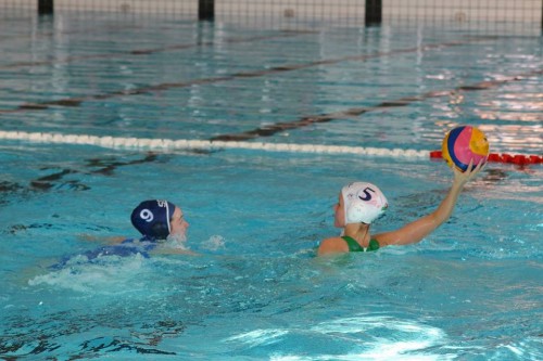 Millie in action