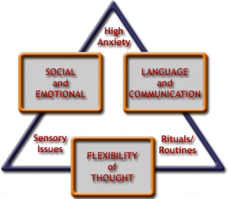 Triad of impairments combined with other key areas of concern. Courtesy of Translate. http://www.translate-asc.org.uk/triad.html