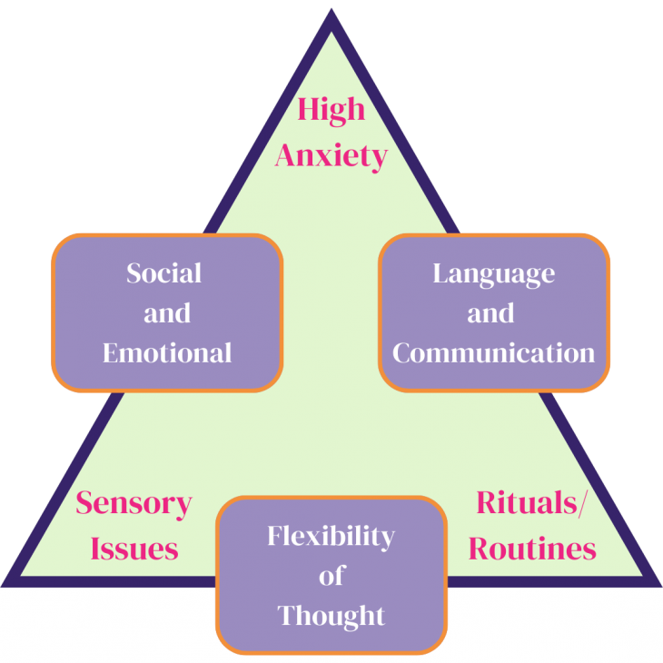 Triad of impairments combined with other key areas of concern.