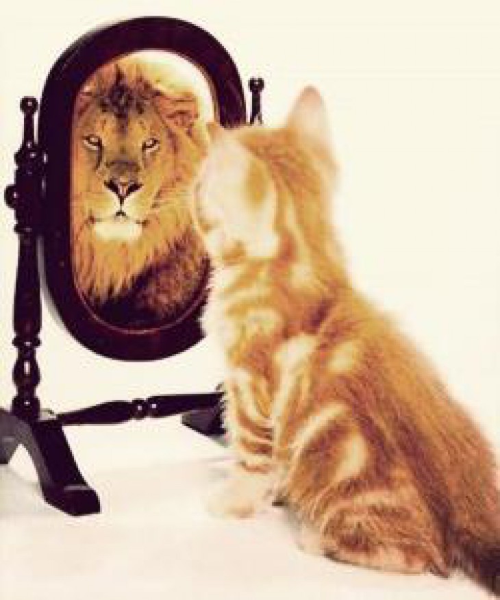 Confidence